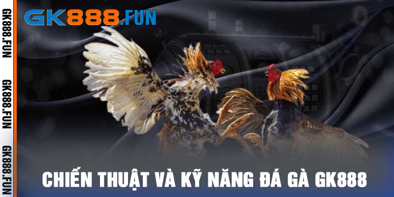 Chiến Thuật Và Kỹ Năng Đá Gà GK888