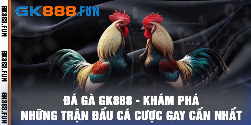 Đá Gà GK888 - Khám Phá Những Trận Đấu Cá Cược Gay Cấn Nhất